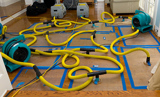 Professional Water Damage Repair technician working in Chantilly, VA